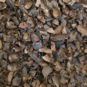 Cacao Husk